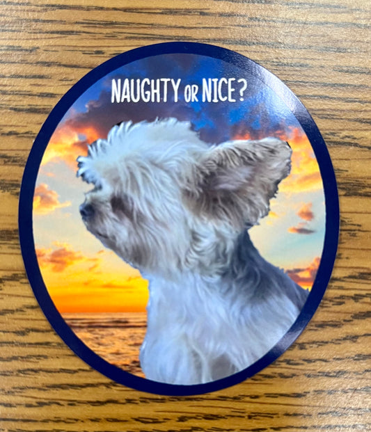 Naughty or Nice WT Decals
